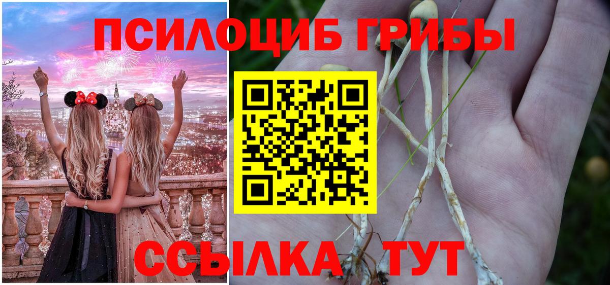 Павлово  Псилоцибиновые грибы Psilocybine cubensis  Вход с VPN  Галлюциногенные грибы мухоморы 